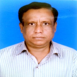 Sholla School College Teacher